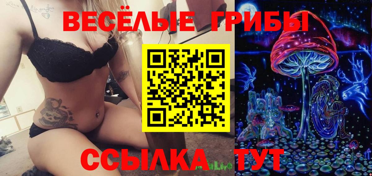 Галлюциногенные грибы Magic Shrooms  продажа наркотиков  Верхняя Пышма  Вход с VPN 