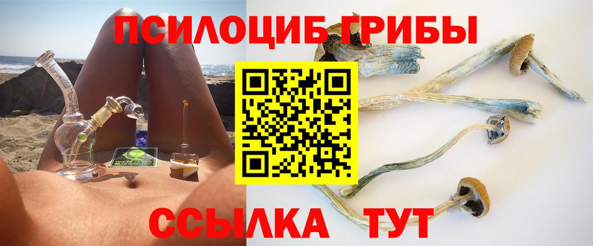 Галлюциногенные грибы GOLDEN TEACHER Верхняя Пышма