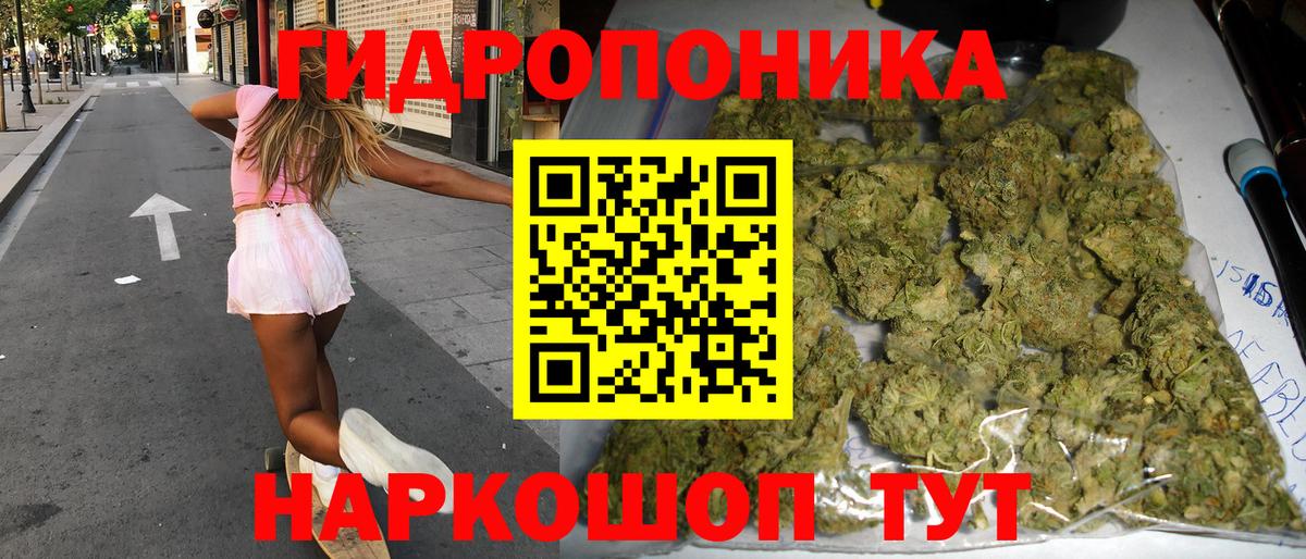 Шишки марихуана план Верхняя Пышма